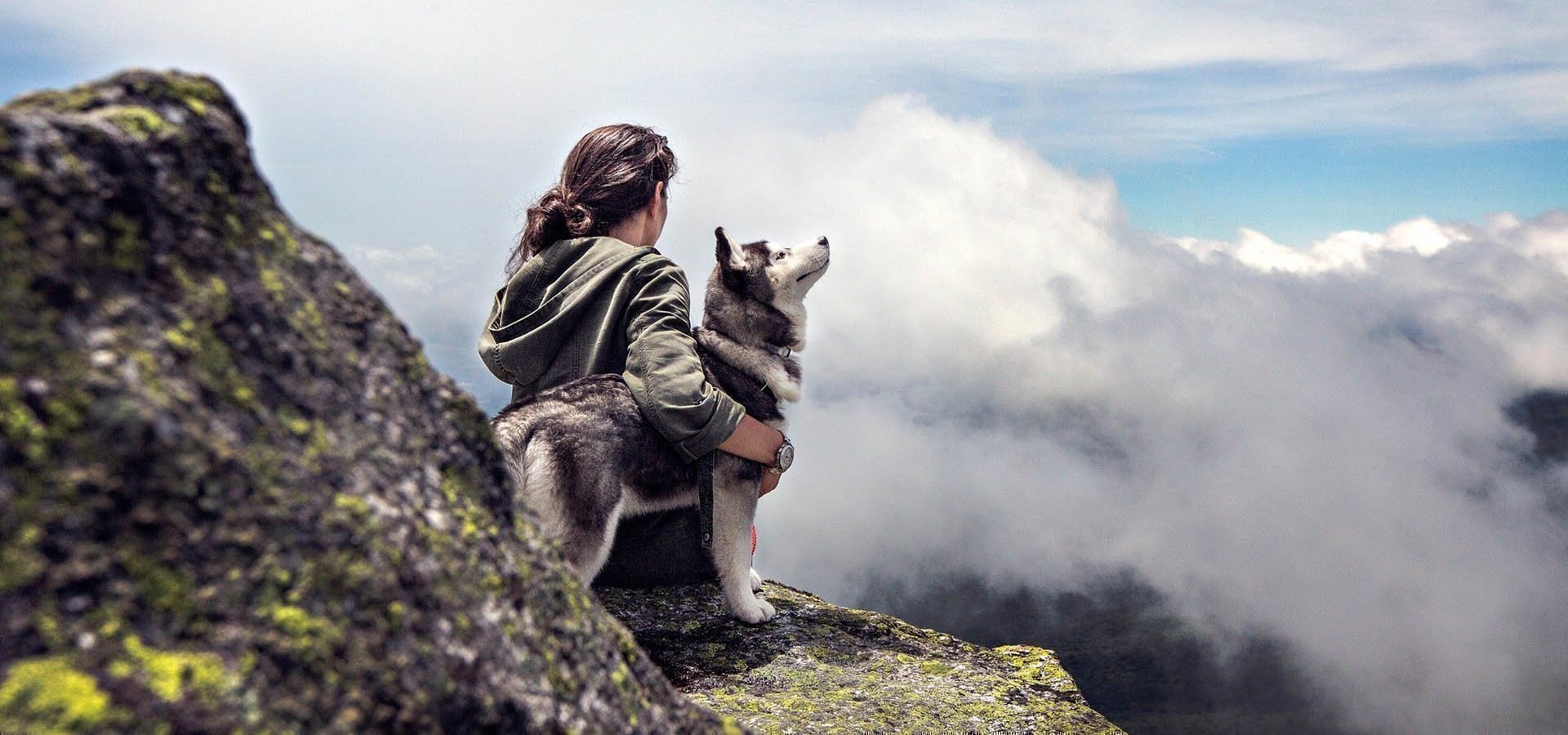 Camping mit Hund in Südtirol – Hundefreundlicher Campingplatz