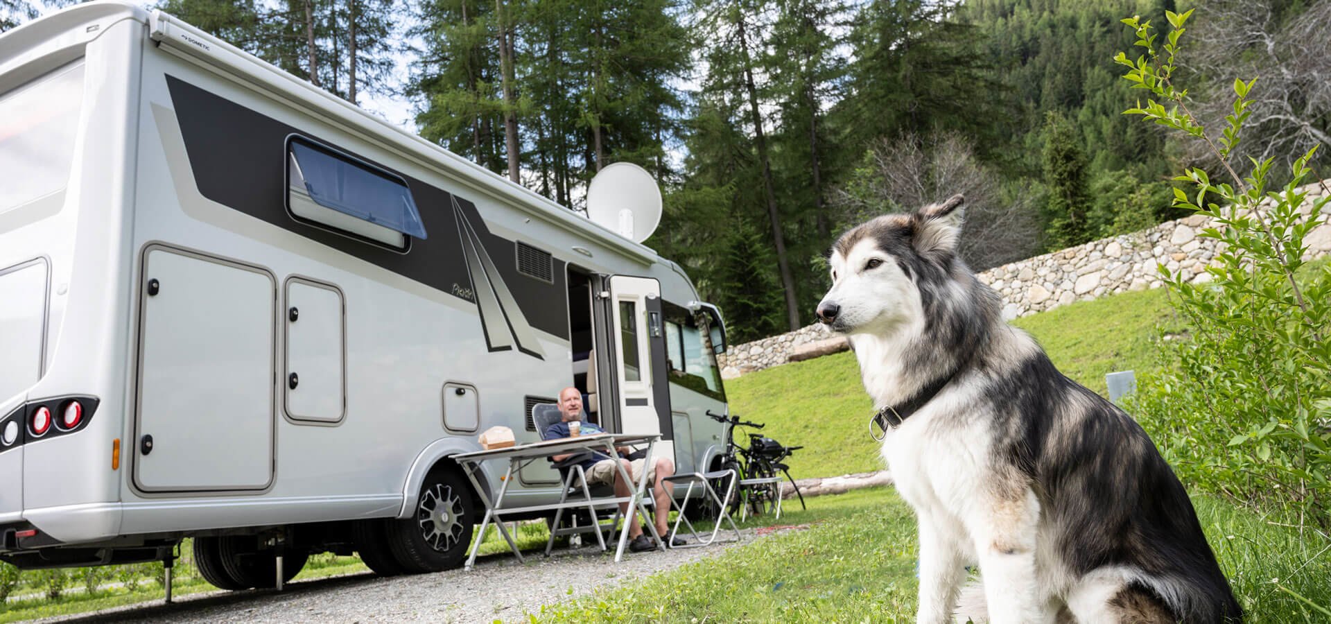 Camping dogs in South Tyrol campsite